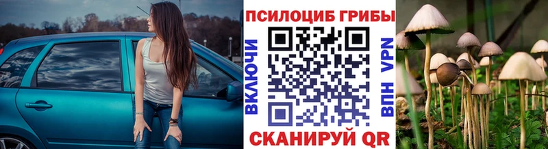 Галлюциногенные грибы ЛСД  нарко площадка как зайти  Тосно 