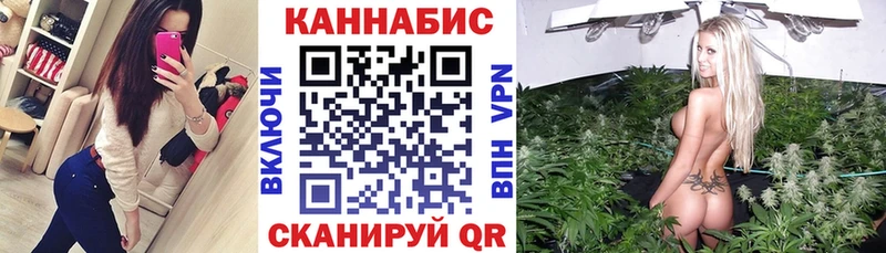 как найти закладки  Тосно  Бошки Шишки гибрид 